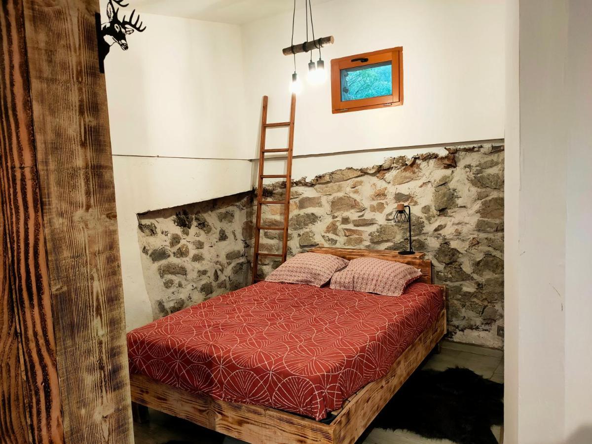 Lodge Des Pachous Tourves